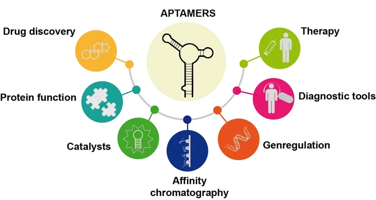csm_aptamers_overview_76882232e9.png