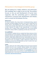 PhD_VISIONBRAIN_ArtegianiHendriks092025.pdf
