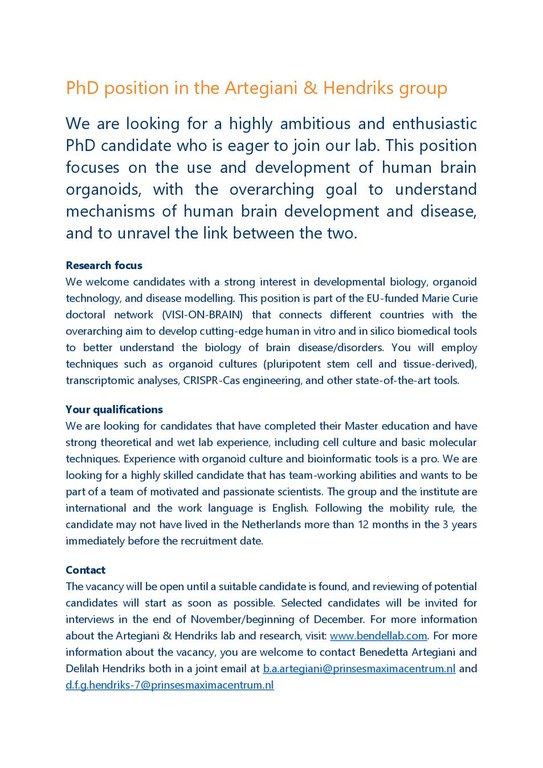 PhD_VISIONBRAIN_ArtegianiHendriks092025.pdf